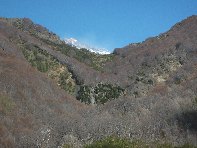 qua Rocca20100328 002